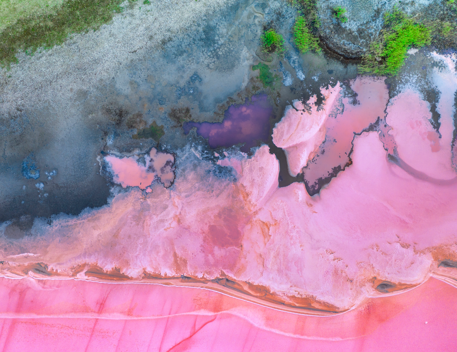 How Pink Algae From Toxic Lakes Saves Your Skin – AELIA